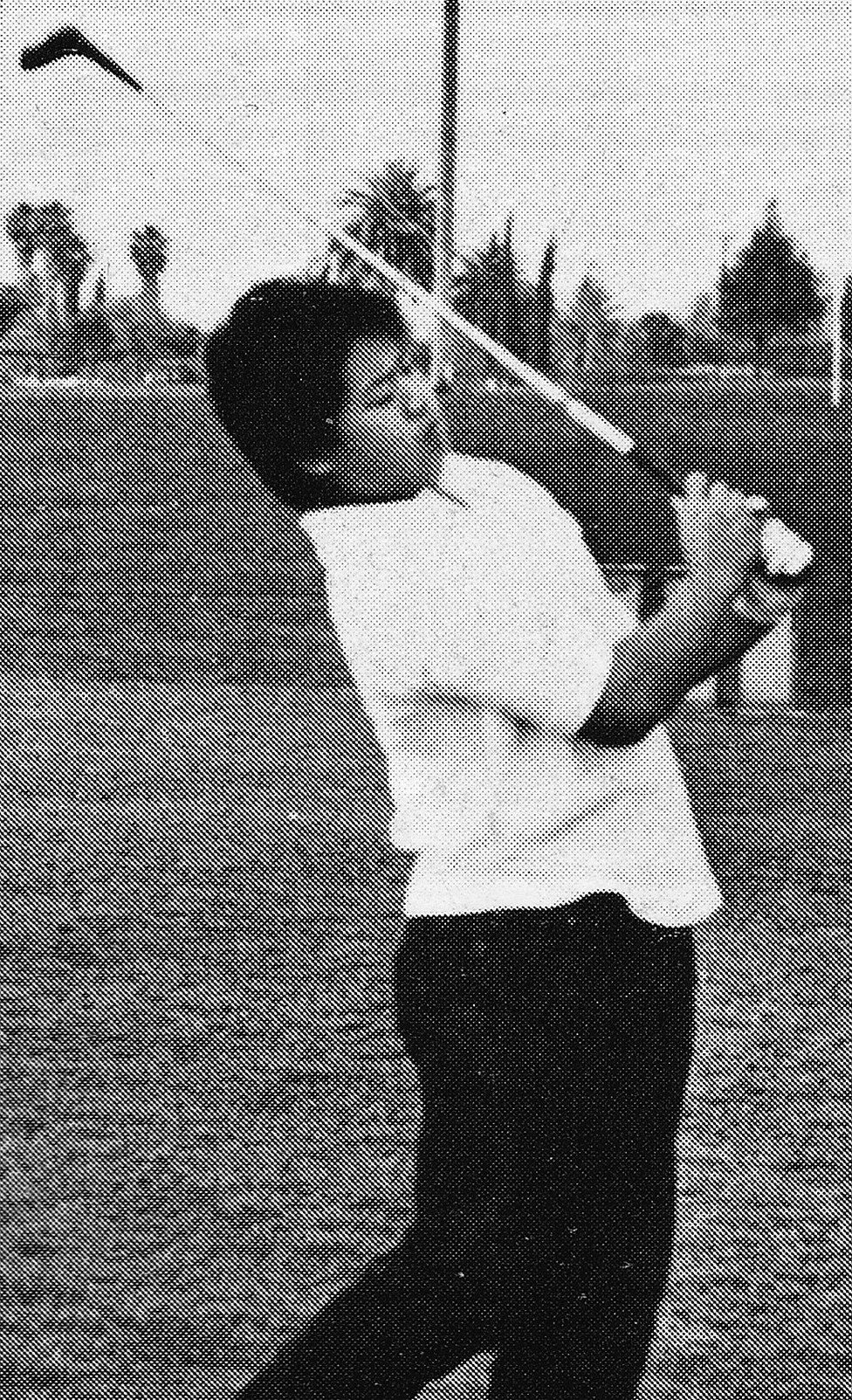 Tracy Nakamura